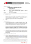 Vista preliminar de documento Informe Técnico IT_0480-2020-SERVIR-GPGSC