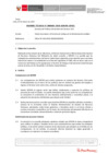 Vista preliminar de documento Informe Técnico IT_0468-2020-SERVIR-GPGSC
