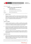 Vista preliminar de documento Informe Técnico IT_0341-2020-SERVIR-GPGSC