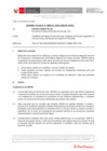 Vista preliminar de documento Informe Técnico IT_0251-2020-SERVIR-GPGSC