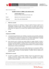 Vista preliminar de documento Informe Técnico IT_0084-2020-SERVIR-GPGSC