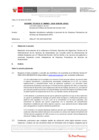Vista preliminar de documento Informe Técnico IT_0082-2020-SERVIR-GPGSC