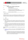 Vista preliminar de documento Informe Técnico IT_0069-2020-SERVIR-GPGSC