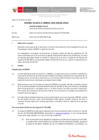 Vista preliminar de documento Informe Técnico 0049-2020-SERVIR-GPGSC