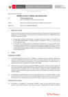 Vista preliminar de documento Informe Técnico 0048-2020-SERVIR-GPGSC