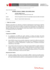 Vista preliminar de documento Informe Técnico 0045-2020-SERVIR-GPGSC