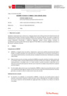 Vista preliminar de documento Informe Técnico 0042-2020-SERVIR-GPGSC