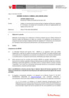 Vista preliminar de documento Informe Técnico 0041-2020-SERVIR-GPGSC