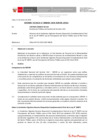 Vista preliminar de documento Informe Técnico 0040-2020-SERVIR-GPGSC