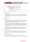 Vista preliminar de documento Informe Técnico 0039-2020-SERVIR-GPGSC