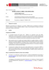 Vista preliminar de documento Informe Técnico 0037-2020-SERVIR-GPGSC
