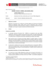 Vista preliminar de documento Informe Técnico 0036-2020-SERVIR-GPGSC