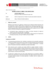 Vista preliminar de documento Informe Técnico 0035-2020-SERVIR-GPGSC