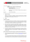 Vista preliminar de documento Informe Técnico 0033-2020-SERVIR-GPGSC