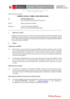 Vista preliminar de documento Informe Técnico 0031-2020-SERVIR-GPGSC