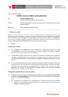 Vista preliminar de documento Informe Técnico 0028-2020-SERVIR-GPGSC