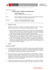 Vista preliminar de documento Informe Técnico 0029-2020-SERVIR-GPGSC