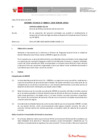 Vista preliminar de documento Informe Técnico 0025-2020-SERVIR-GPGSC