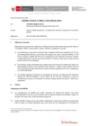 Vista preliminar de documento Informe Técnico 0022-2020-SERVIR-GPGSC