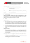Vista preliminar de documento Informe Técnico 0021-2020-SERVIR-GPGSC