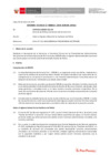 Vista preliminar de documento Informe Técnico 0015-2020-SERVIR-GPGSC