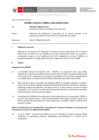 Vista preliminar de documento Informe Técnico 0013-2020-SERVIR-GPGSC