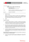 Vista preliminar de documento Informe Técnico 0014-2020-SERVIR-GPGSC