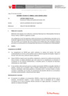 Vista preliminar de documento Informe Técnico 0011-2020-SERVIR-GPGSC