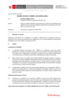 Vista preliminar de documento Informe Técnico 0002-2020-SERVIR-GPGSC