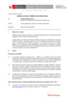 Vista preliminar de documento Informe Técnico 0006-2020-SERVIR-GPGSC