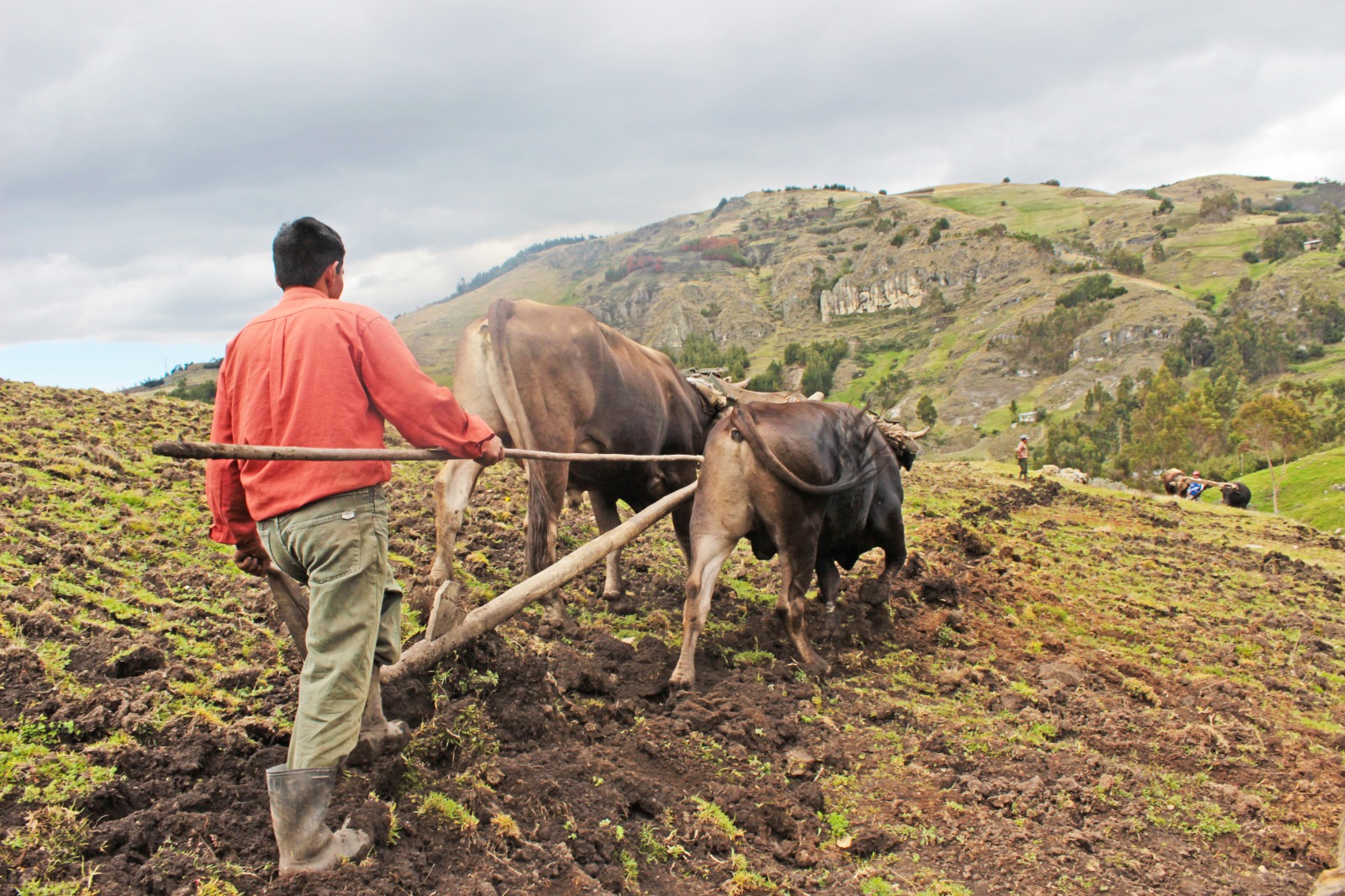 AGRO RURAL