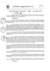 Vista preliminar de documento rer-009-2024-gore-ica-gr