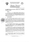 Vista preliminar de documento Resolucion Directoral N°028-2023