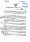 Vista preliminar de documento RD-391-2023-DG-HNHU
