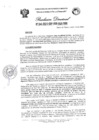 Vista preliminar de documento Resolucion Directoral N°041-2023