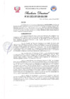 Vista preliminar de documento Resolucion Directoral N°047-2023