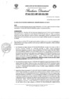 Vista preliminar de documento Resolucion Directoral N°049-2023