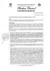 Vista preliminar de documento Resolucion Directoral N°051-2023