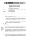 Vista preliminar de documento Informe Técnico 1975-2019-SERVIR-GPGSC