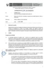 Vista preliminar de documento Informe Técnico 1902-2019-SERVIR-GPGSC