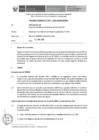 Vista preliminar de documento Informe Técnico 1763-2019-SERVIR-GPGSC