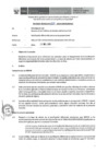 Vista preliminar de documento Informe Técnico 1681-2019-SERVIR-GPGSC