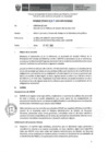Vista preliminar de documento Informe Técnico 1617-2019-SERVIR-GPGSC