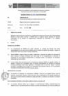 Vista preliminar de documento Informe Técnico 1580-2019-SERVIR-GPGSC