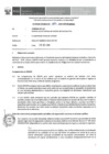 Vista preliminar de documento Informe Técnico 1550-2019-SERVIR-GPGSC