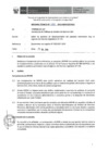Vista preliminar de documento Informe Técnico 1153-2019-SERVIR-GPGSC
