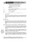 Vista preliminar de documento Informe Técnico 1066-2019-SERVIR-GPGSC