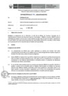 Vista preliminar de documento Informe Técnico 412-2019-SERVIR-GPGSC