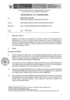 Vista preliminar de documento Informe Técnico 334-2019-SERVIR-GPGSC