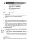 Vista preliminar de documento Informe Técnico 250-2019-SERVIR-GPGSC